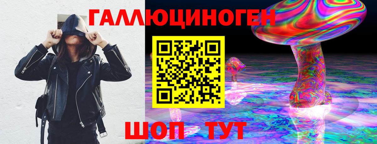 Псилоцибиновые грибы Psilocybine cubensis Моздок